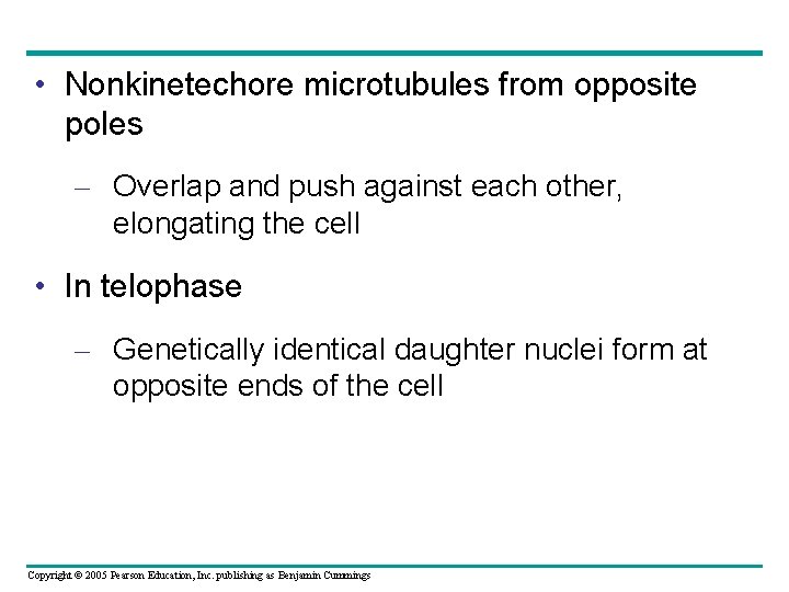  • Nonkinetechore microtubules from opposite poles – Overlap and push against each other,