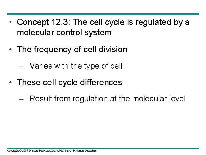  • Concept 12. 3: The cell cycle is regulated by a molecular control