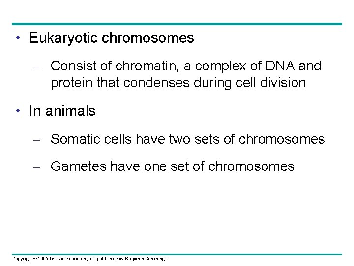  • Eukaryotic chromosomes – Consist of chromatin, a complex of DNA and protein