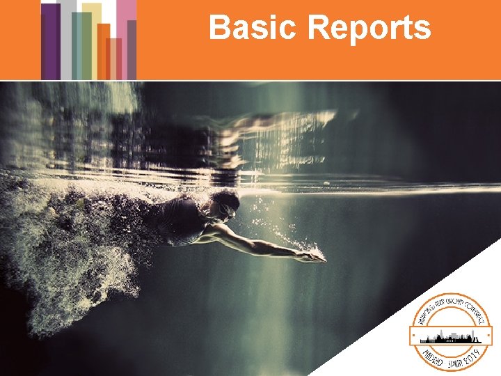 Basic Reports 