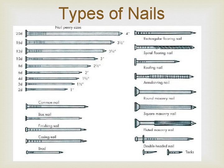 Types of Nails 