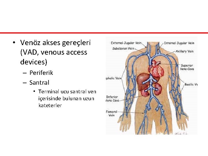 • Venöz akses gereçleri (VAD, venous access devices) – Periferik – Santral • • Venöz akses gereçleri (VAD, venous access devices) – Periferik – Santral •