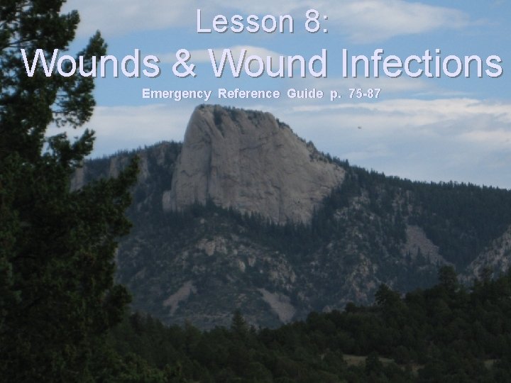 Lesson 8: Wounds & Wound Infections Emergency Reference Guide p. 75 -87 