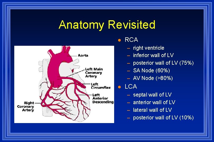 Anatomy Revisited l RCA – – – l right ventricle inferior wall of LV