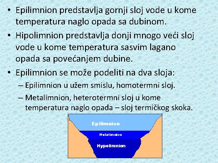  • Epilimnion predstavlja gornji sloj vode u kome temperatura naglo opada sa dubinom.