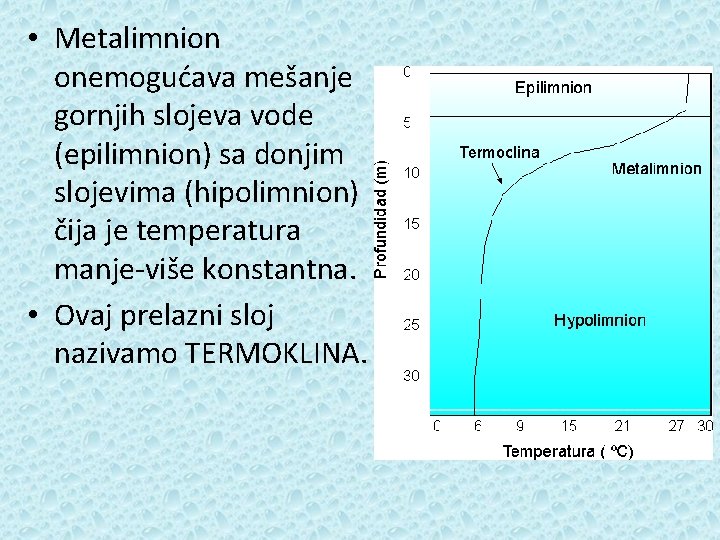  • Metalimnion onemogućava mešanje gornjih slojeva vode (epilimnion) sa donjim slojevima (hipolimnion) čija