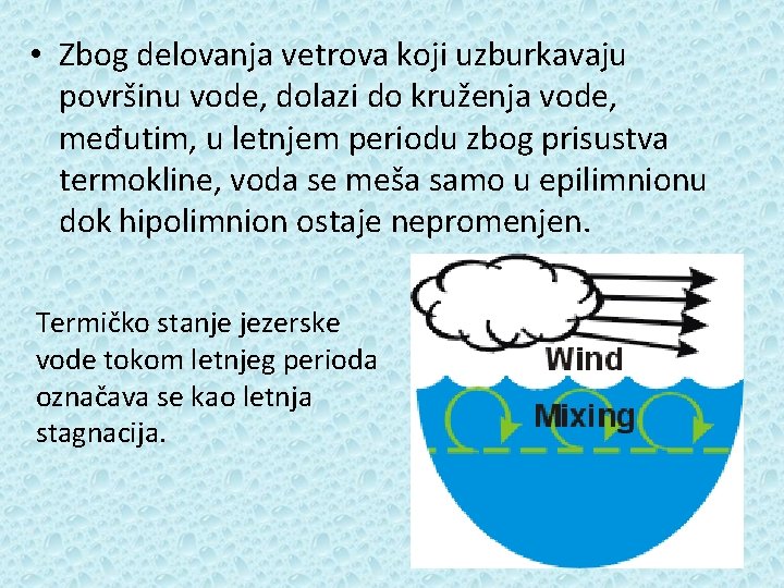  • Zbog delovanja vetrova koji uzburkavaju površinu vode, dolazi do kruženja vode, međutim,