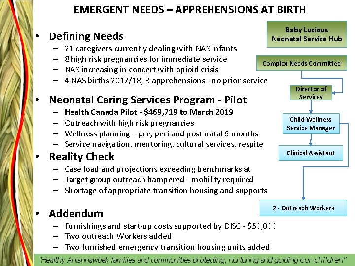 EMERGENT NEEDS – APPREHENSIONS AT BIRTH • Defining Needs – – Baby Lucious Neonatal