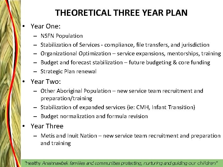 THEORETICAL THREE YEAR PLAN • Year One: – – – NSFN Population Stabilization of