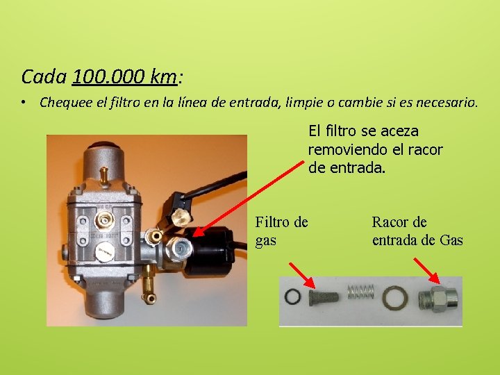 Cada 100. 000 km: • Chequee el filtro en la línea de entrada, limpie