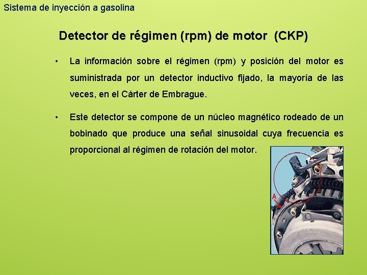 Sistema de inyección a gasolina Detector de régimen (rpm) de motor (CKP) • La