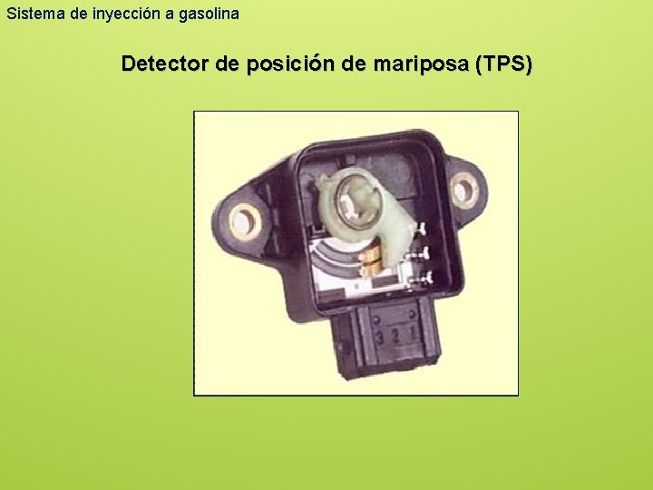 Sistema de inyección a gasolina Detector de posición de mariposa (TPS) 