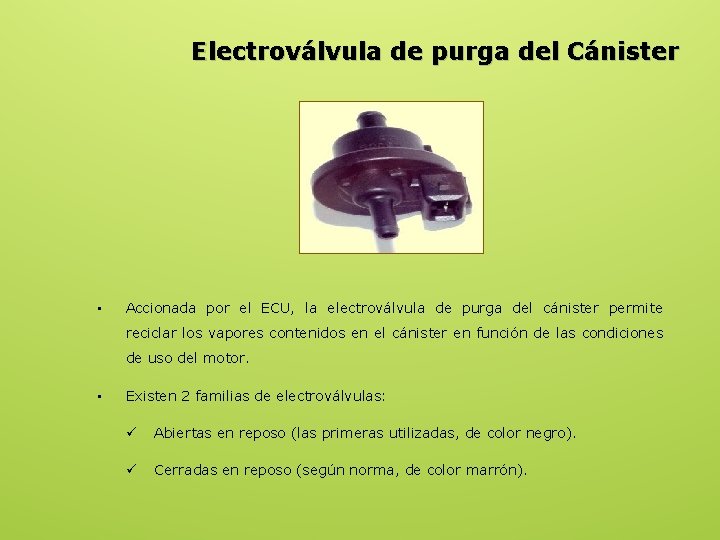 Electroválvula de purga del Cánister • Accionada por el ECU, la electroválvula de purga