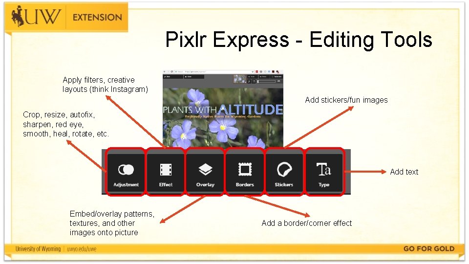 Pixlr Express - Editing Tools Apply filters, creative layouts (think Instagram) Add stickers/fun images