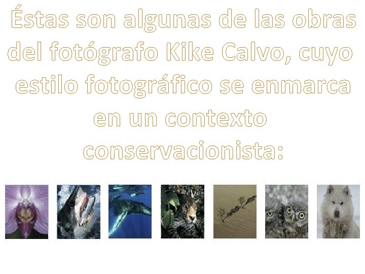 Éstas son algunas de las obras del fotógrafo Kike Calvo, cuyo estilo fotográfico se