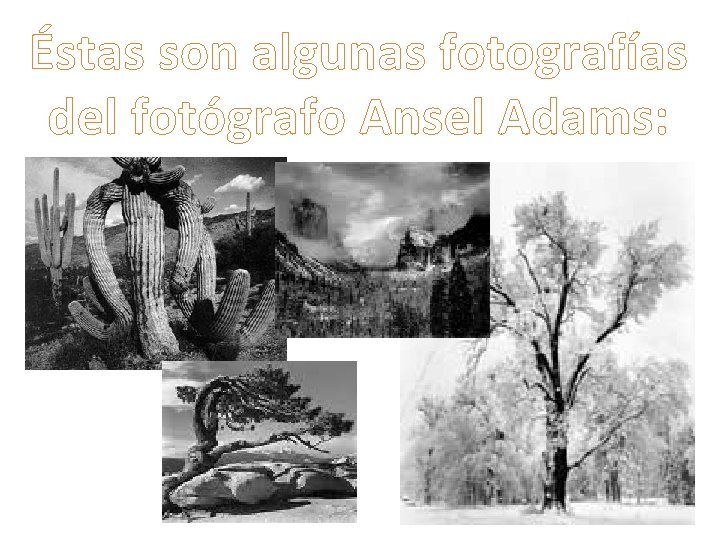 Éstas son algunas fotografías del fotógrafo Ansel Adams: 