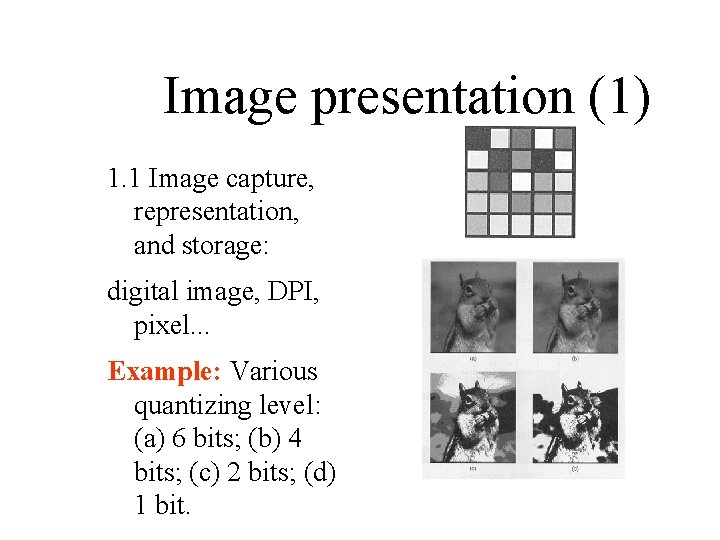 Image presentation (1) 1. 1 Image capture, representation, and storage: digital image, DPI, pixel.