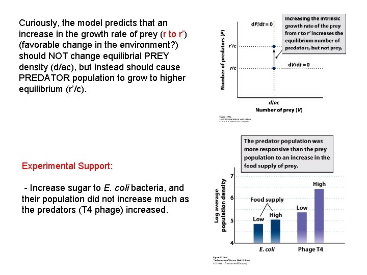 Curiously, the model predicts that an increase in the growth rate of prey (r