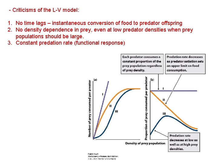 - Criticisms of the L-V model: 1. No time lags – instantaneous conversion of