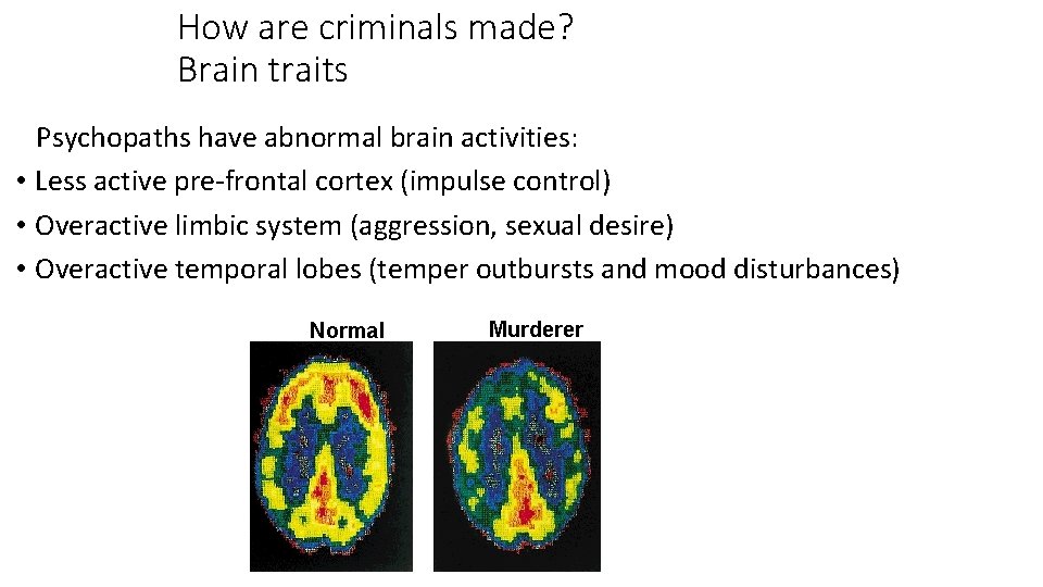 How are criminals made? Brain traits Psychopaths have abnormal brain activities: • Less active