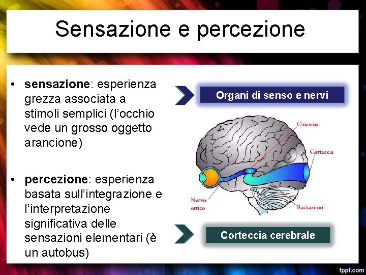 Sensazione e percezione • sensazione: esperienza grezza associata a stimoli semplici (l’occhio vede un