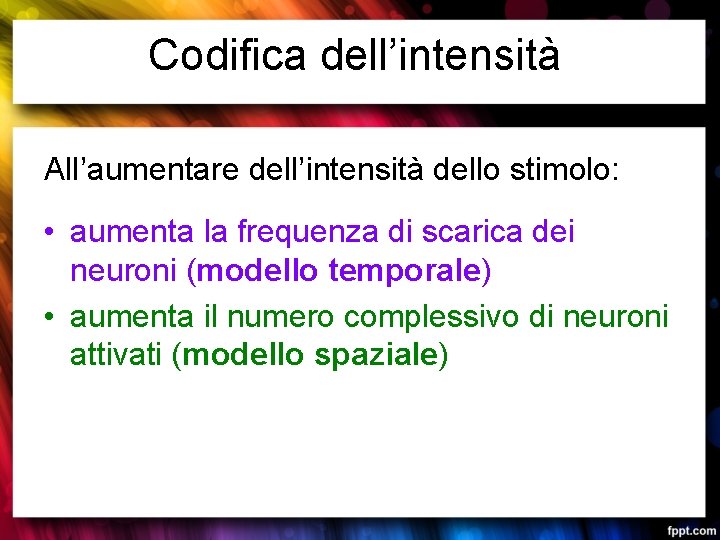 Codifica dell’intensità All’aumentare dell’intensità dello stimolo: • aumenta la frequenza di scarica dei neuroni