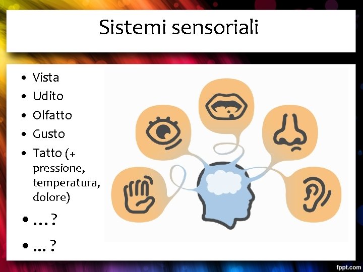 Sistemi sensoriali • • • Vista Udito Olfatto Gusto Tatto (+ pressione, temperatura, dolore)