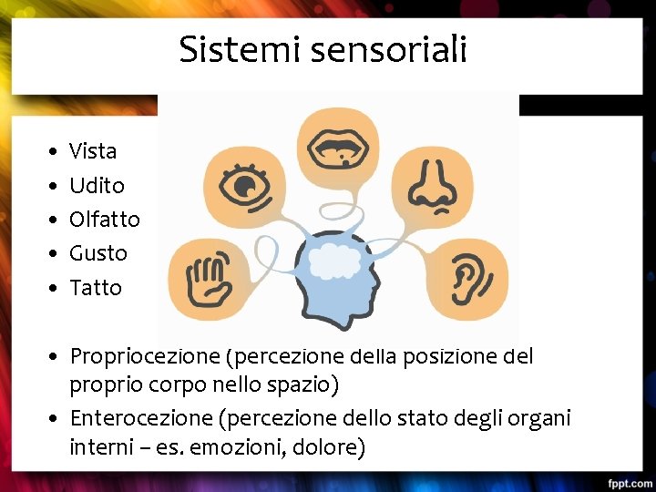 Sistemi sensoriali • • • Vista Udito Olfatto Gusto Tatto • Propriocezione (percezione della