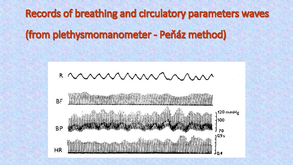 Records of breathing and circulatory parameters waves (from plethysmomanometer - Peňáz method) 