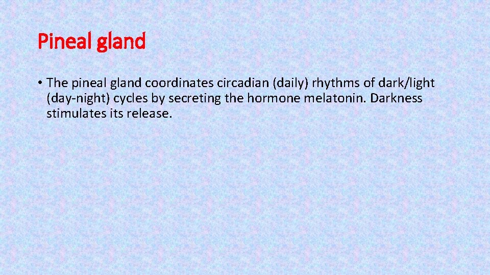 Pineal gland • The pineal gland coordinates circadian (daily) rhythms of dark/light (day-night) cycles