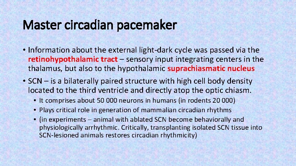 Master circadian pacemaker • Information about the external light-dark cycle was passed via the