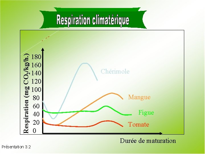 Respiration (mg CO 2/kg/h. ) Respiración Climatérica Présentation 3. 2 180 160 140 120