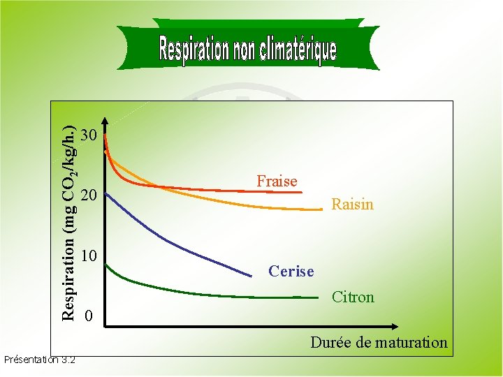 Respiration (mg CO 2/kg/h. ) 30 20 10 Fraise Raisin Cerise Citron 0 Durée