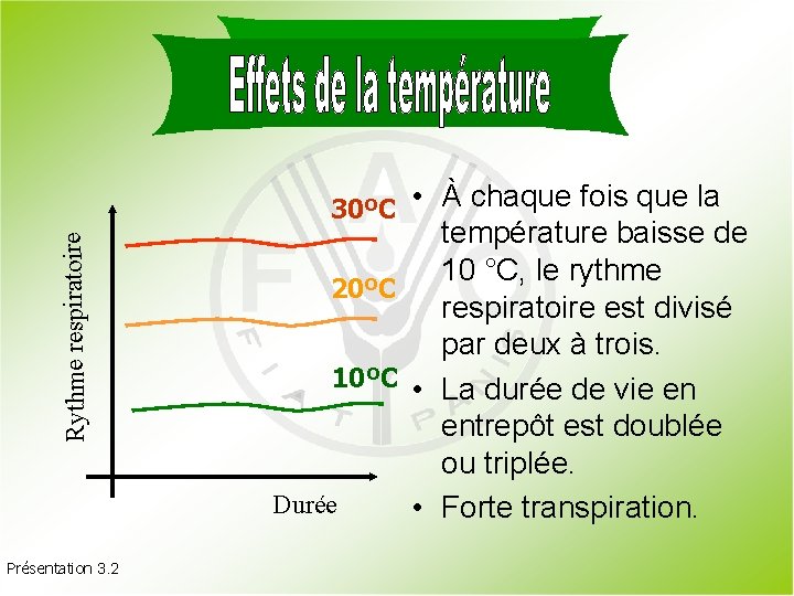 Rythme respiratoire 30ºC • À chaque fois que la Présentation 3. 2 température baisse