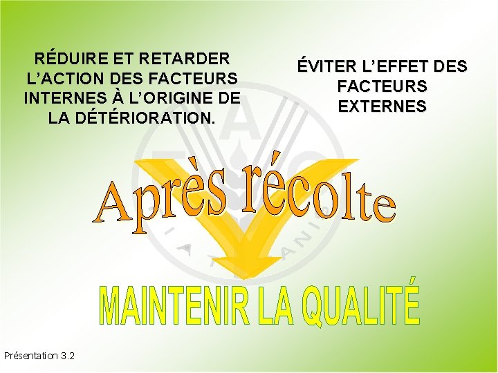 RÉDUIRE ET RETARDER L’ACTION DES FACTEURS INTERNES À L’ORIGINE DE LA DÉTÉRIORATION. Présentation 3.