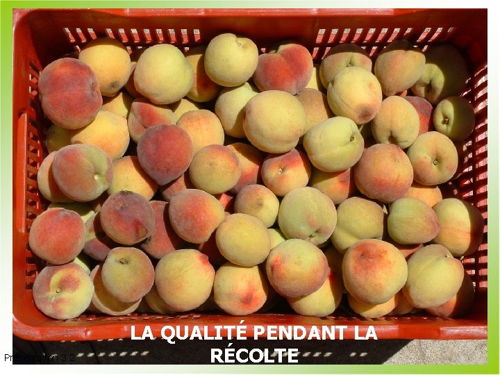 Présentation 3. 2 LA QUALITÉ PENDANT LA RÉCOLTE 