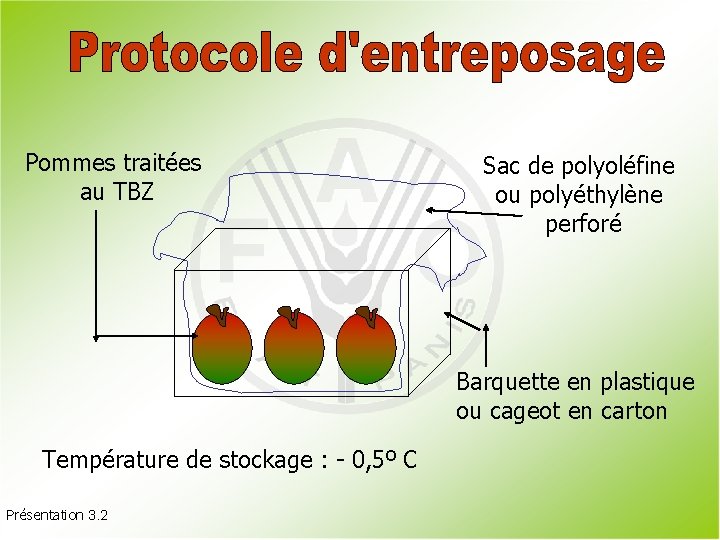 Pommes traitées au TBZ Sac de polyoléfine ou polyéthylène perforé Barquette en plastique ou