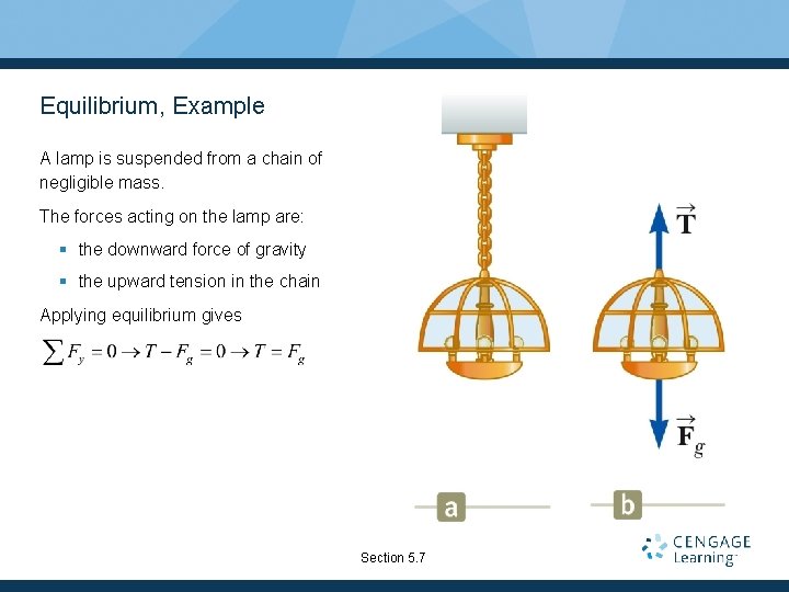 Equilibrium, Example A lamp is suspended from a chain of negligible mass. The forces