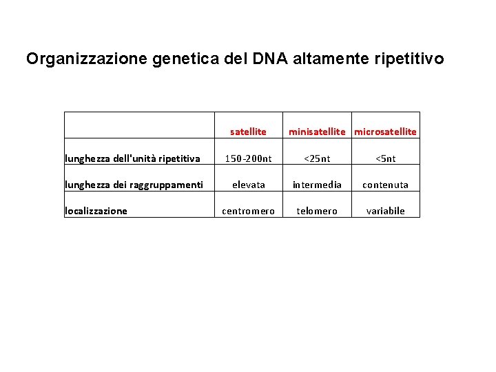 Organizzazione genetica del DNA altamente ripetitivo satellite minisatellite microsatellite lunghezza dell'unità ripetitiva 150 -200