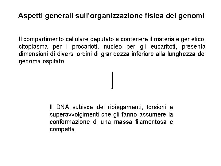Aspetti generali sull’organizzazione fisica dei genomi Il compartimento cellulare deputato a contenere il materiale