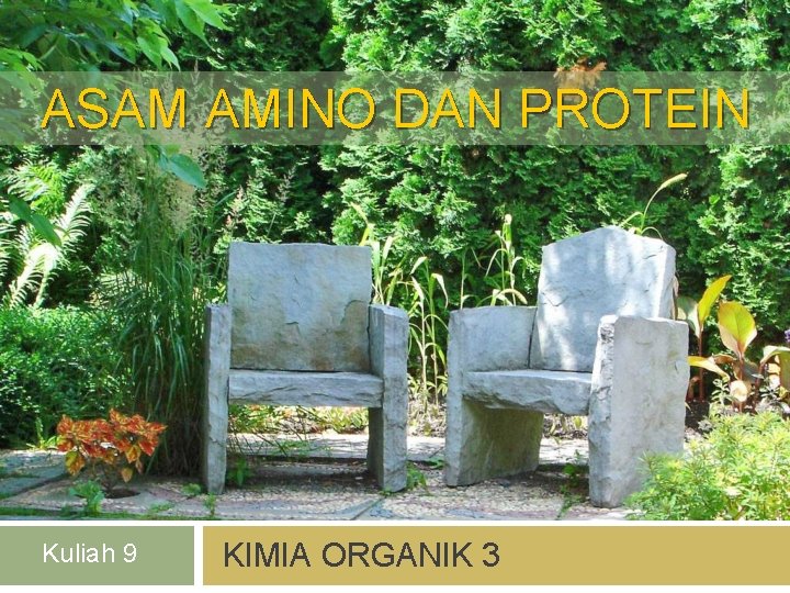 ASAM AMINO DAN PROTEIN Kuliah 9 KIMIA ORGANIK 3 