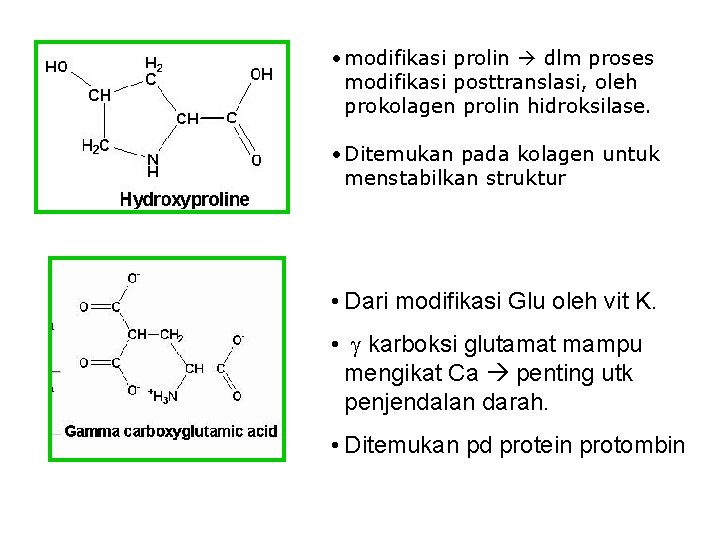  • modifikasi prolin dlm proses modifikasi posttranslasi, oleh prokolagen prolin hidroksilase. • Ditemukan