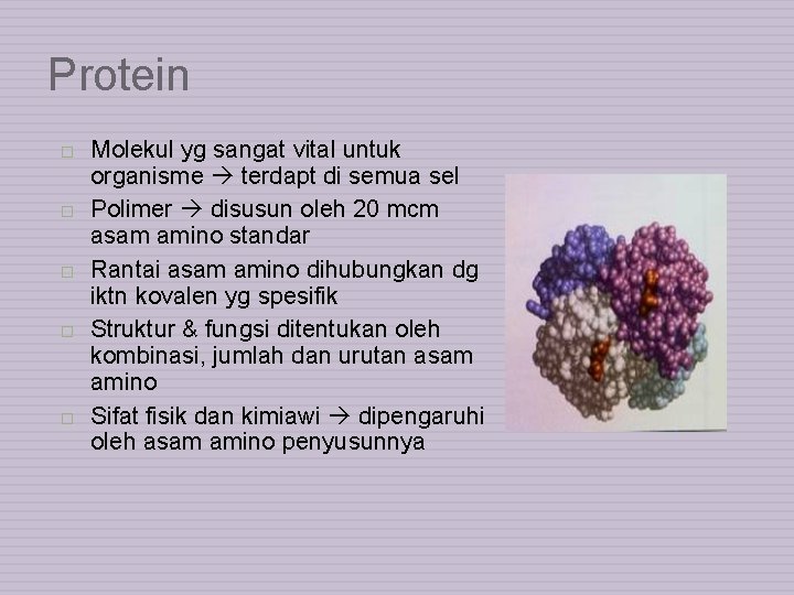 Protein Molekul yg sangat vital untuk organisme terdapt di semua sel Polimer disusun oleh