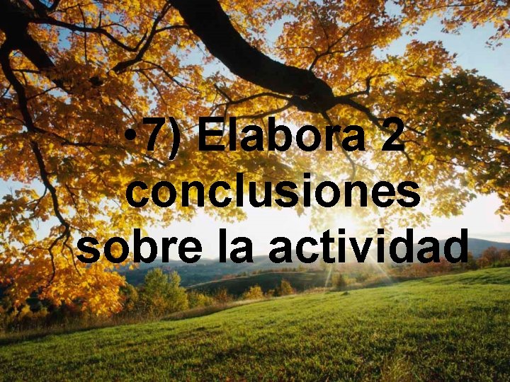  • 7) Elabora 2 conclusiones sobre la actividad 