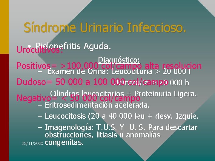 Síndrome Urinario Infeccioso. • Pielonefritis Aguda. Urocultivos: Diagnóstico: Positivos= >100, 000 col/campo alta resolucion