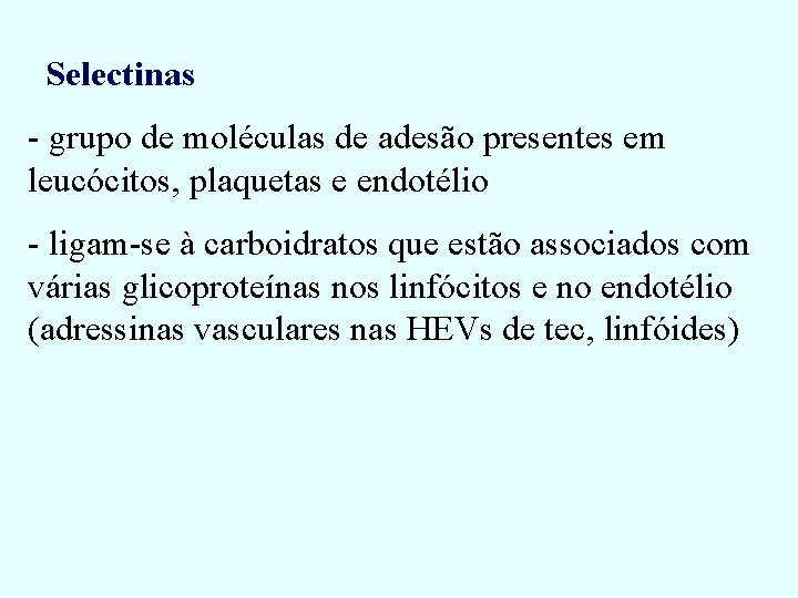 Selectinas - grupo de moléculas de adesão presentes em leucócitos, plaquetas e endotélio - Selectinas - grupo de moléculas de adesão presentes em leucócitos, plaquetas e endotélio -