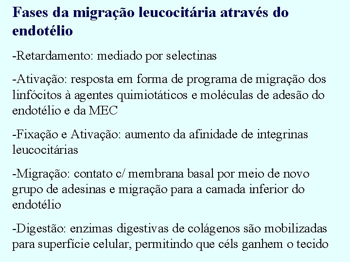 Fases da migração leucocitária através do endotélio -Retardamento: mediado por selectinas -Ativação: resposta em Fases da migração leucocitária através do endotélio -Retardamento: mediado por selectinas -Ativação: resposta em