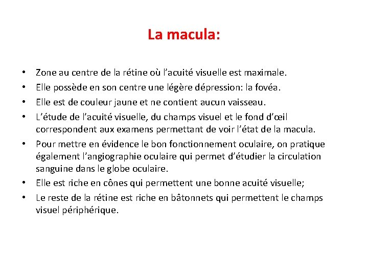 La macula: Zone au centre de la rétine où l’acuité visuelle est maximale. Elle