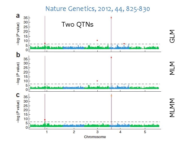 Nature Genetics, 2012, 44, 825 -830 MLMM MLM GLM Two QTNs 