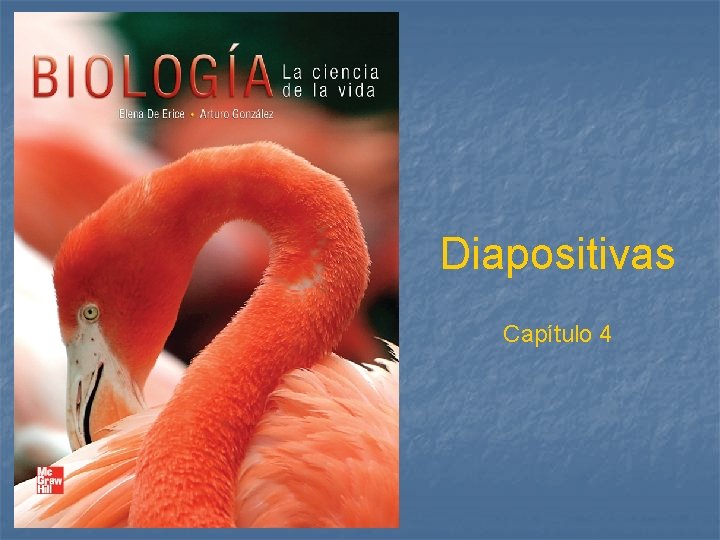 Diapositivas Capítulo 4 Diapositivas Capítulo 4
